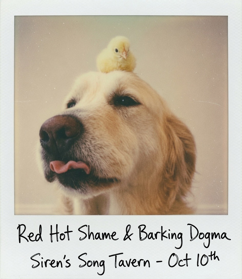 Red Hot Shame & Barking Dogma