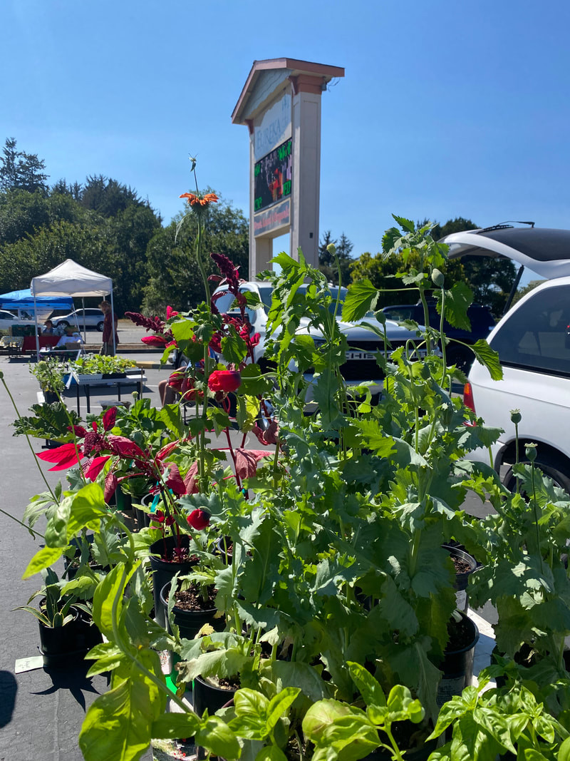 Eureka Natural Foods McKinleyville